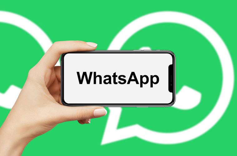 巧用 WhatsApp 发布动态提升日常沟通与社交互动效率