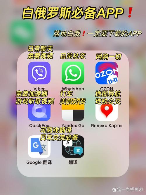 whatsapp苹果版下载安装与日常使用全指南